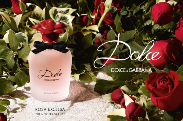 dg dolce rosa excelsa 3 - Nuochoarosa.com - Nước hoa cao cấp, chính hãng giá tốt, mẫu mới
