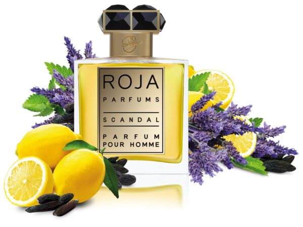roja scandal pour homme - Nuochoarosa.com - Nước hoa cao cấp, chính hãng giá tốt, mẫu mới