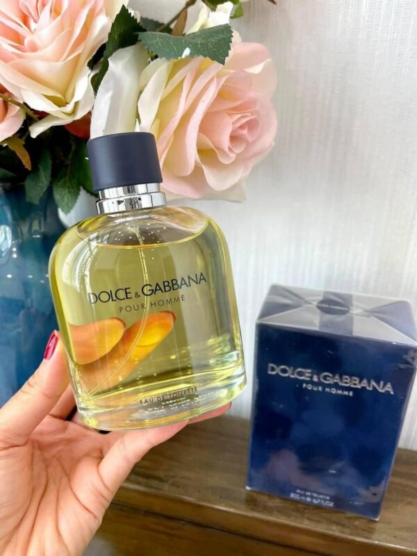 Dolce Gabbana Pour Homme 1 - Nuochoarosa.com - Nước hoa cao cấp, chính hãng giá tốt, mẫu mới