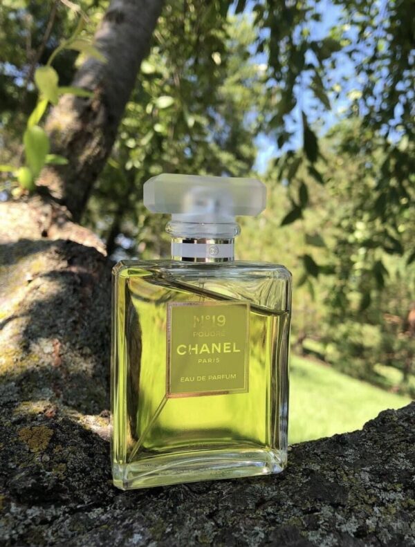 Chanel No.19 Poudre 1 - Nuochoarosa.com - Nước hoa cao cấp, chính hãng giá tốt, mẫu mới