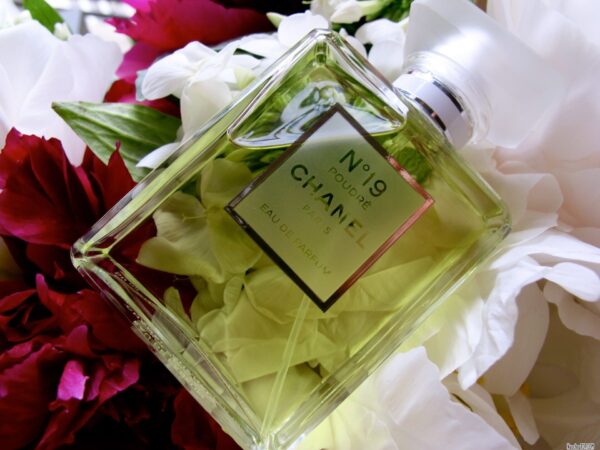 Chanel No.19 Poudre - Nuochoarosa.com - Nước hoa cao cấp, chính hãng giá tốt, mẫu mới