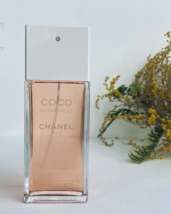 Chanel Coco Mademoiselle Eau de Toilette 2 - Nuochoarosa.com - Nước hoa cao cấp, chính hãng giá tốt, mẫu mới