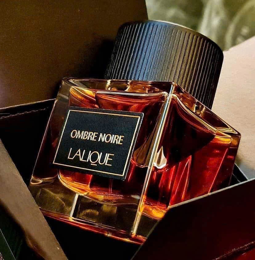 Lalique Ombre Noire 3 - Nuochoarosa.com - Nước hoa cao cấp, chính hãng giá tốt, mẫu mới