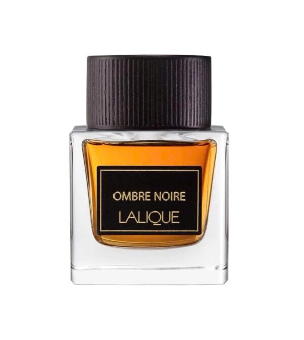 Lalique Ombre Noire - Nuochoarosa.com - Nước hoa cao cấp, chính hãng giá tốt, mẫu mới