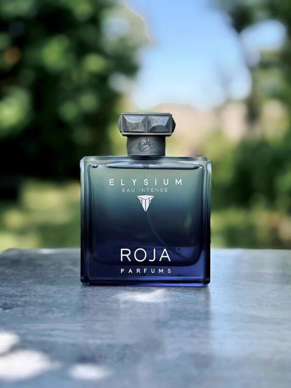 Roja Elysium Eau Intense Pour Homme 1 - Nuochoarosa.com - Nước hoa cao cấp, chính hãng giá tốt, mẫu mới