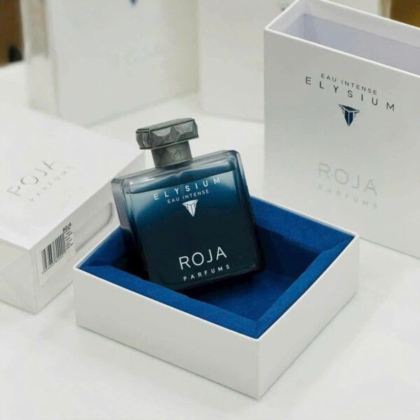 Roja Elysium Eau Intense Pour Homme 2 - Nuochoarosa.com - Nước hoa cao cấp, chính hãng giá tốt, mẫu mới