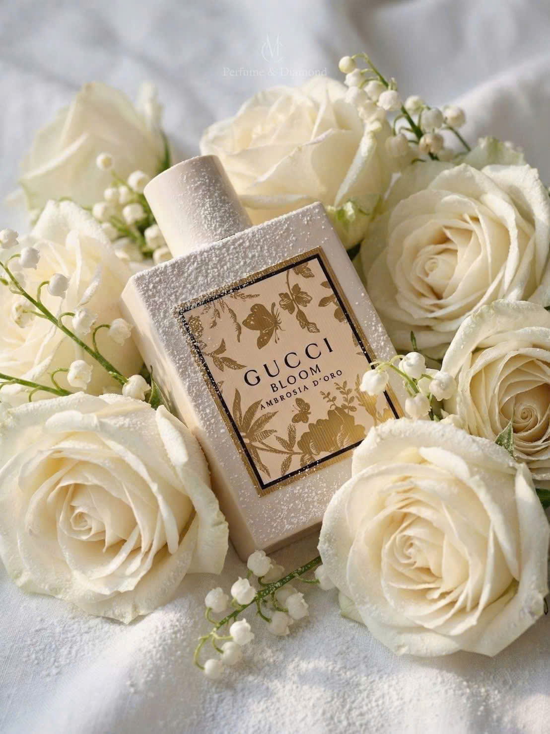 Gucci Bloom Ambrosia DOro 2 - Nuochoarosa.com - Nước hoa cao cấp, chính hãng giá tốt, mẫu mới